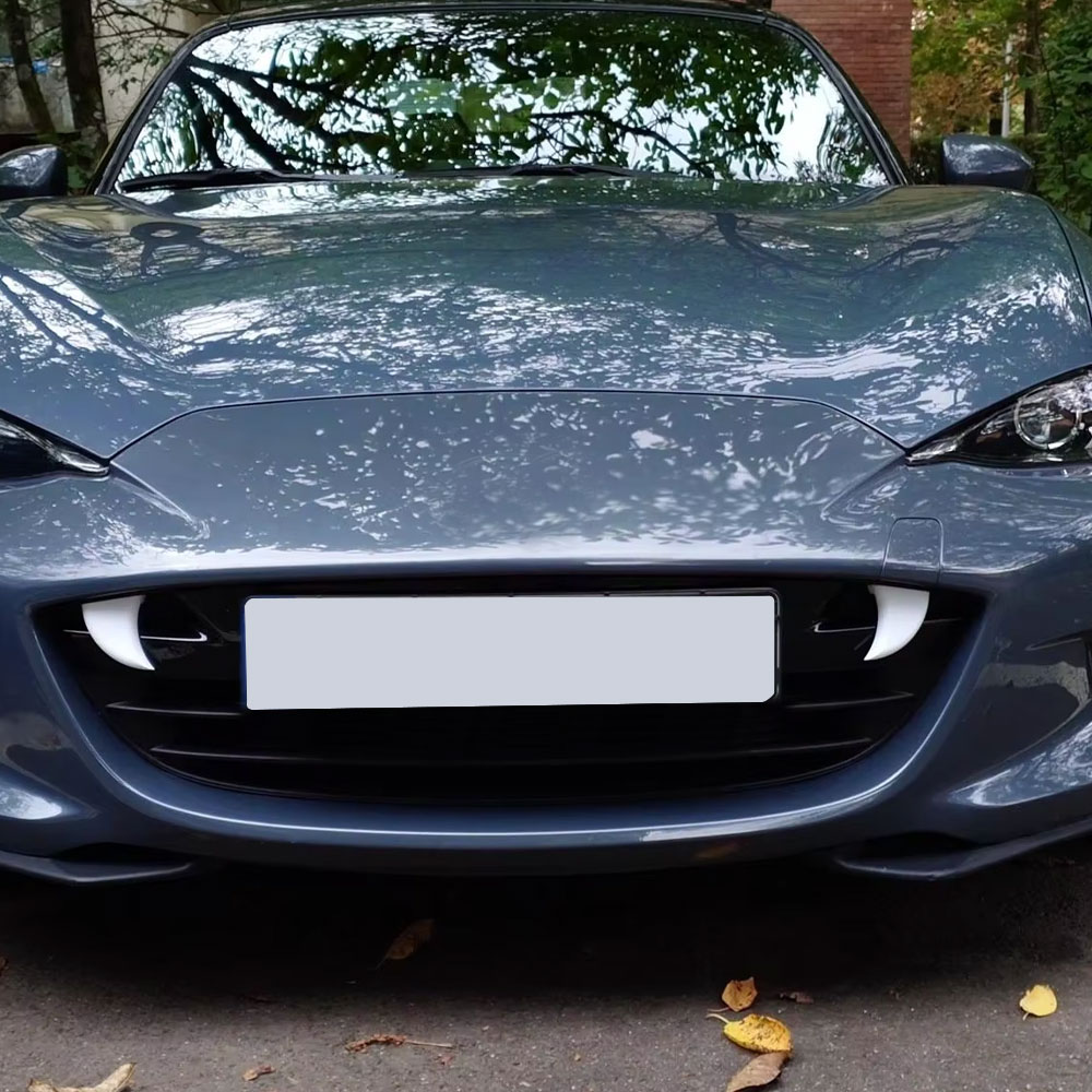 2pcs Car Front Grille Styling  - 3D Printing Car review and price